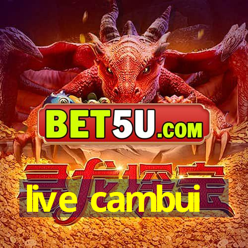 live cambui